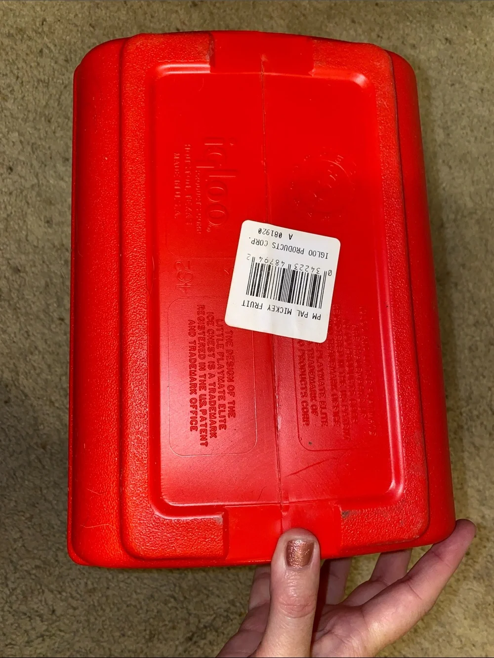 minnie and mickey pop pal 7 quart igloo cooler
